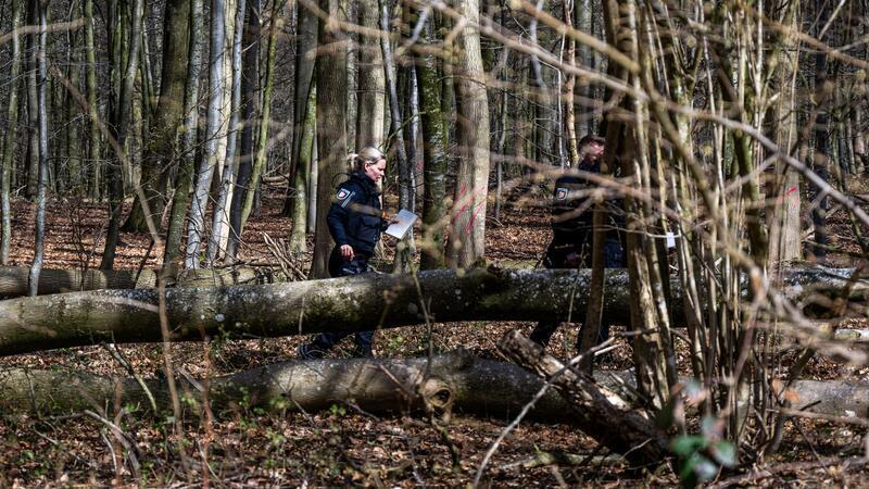 Durch einen umgestürzten Baum sind bei Flensburg drei Menschen ums Leben gekommen.