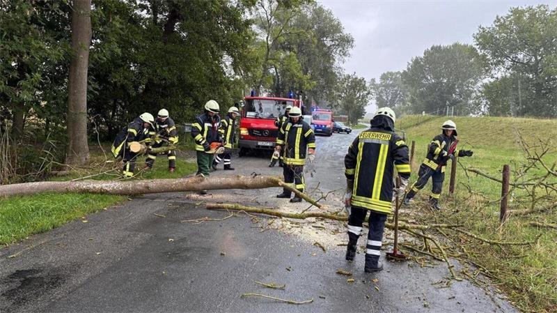 Durch vermutlichen starken Regen und leichten Wind nach einem Gewitter war ein größerer Baum umgekippt. Mit einer Motorsäge wurde der Baum zerkleinert und mit Manpower an die Seite gelegt.