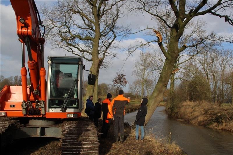 Nach Baumfällungen: Verband sieht sich als Umweltzerstörer dargestellt Dutzende Bäume wurden vom Unterhaltungsverband Untere Oste an der Aue vor einem Jahr gefällt, was Anwohner und Naturschützer gleichermaßen auf den Plan rief. Der Verband begründete die Maßnahme damit, dass er Platz benötigte, damit die groß