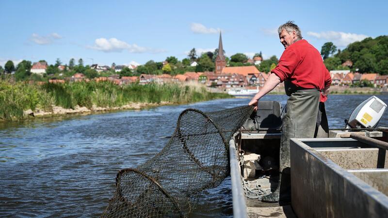 Echte Handarbeit mit Netzen, die schon sein Vater ausgeworfen hat. Eckhard Panz ist einer der letzten Berufsfischer auf der Elbe.