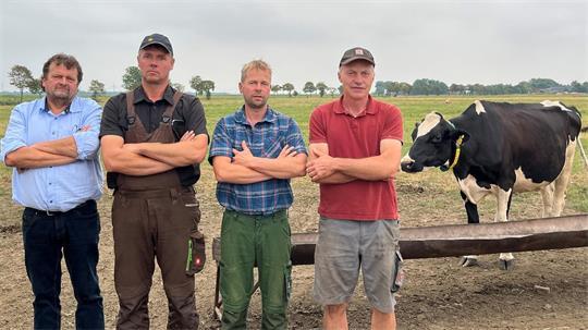 Eckhard Schmidt (von links), Dietmar Denker, Dirk Haaren und Harm von Hollen, Weidetierhalter in der Osterstader Marsch.