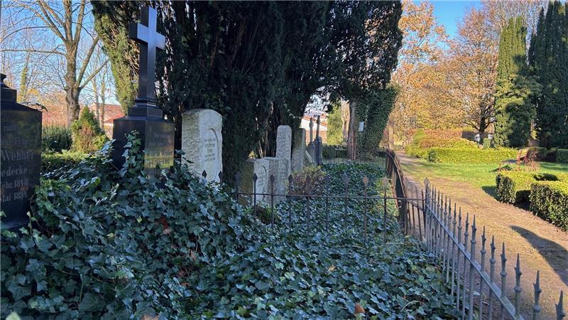 Engel und Palmwedel: Was sie auf dem Friedhof Himmelpforten bedeuten Efeu - die pflegeleichte Grabgestaltung anno dazumal.