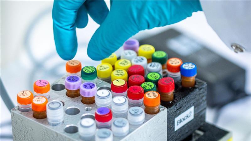 Zwei Menschen in Deutschland nach Ehec-Infektion gestorben Ehec bezeichnet bestimmte krankmachende Stämme des Darm-Bakteriums, die vor allem bei Wiederkäuern wie Rindern vorkommen (Archivbild).