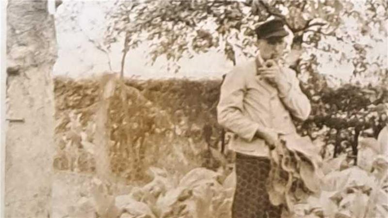 Eigene Ernte in der Nachkriegszeit: Willy Sumfleth 1948 beim Rauchen einer Pfeife auf dem eigenen Tabakfeld.