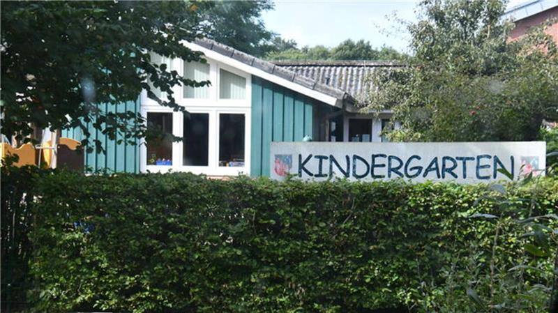 Eigentlich eine Idylle, aber am Wochenende wurden gleich mehrere Schafe direkt neben dem Steinauer Kindergarten von einem Wolf oder mehreren Wölfen getötet. Foto: Schröder