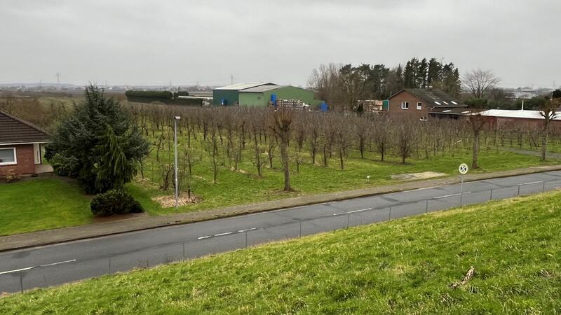 Investor steigt aus: Hotel-Planern im Alten Land läuft Zeit davon Eigentlich sollte auf dieser Obstplantage am Elbdeich in Twielenfleth - einen Steinwurf vom Bassenflether Strand entfernt - längst ein Hotel stehen.