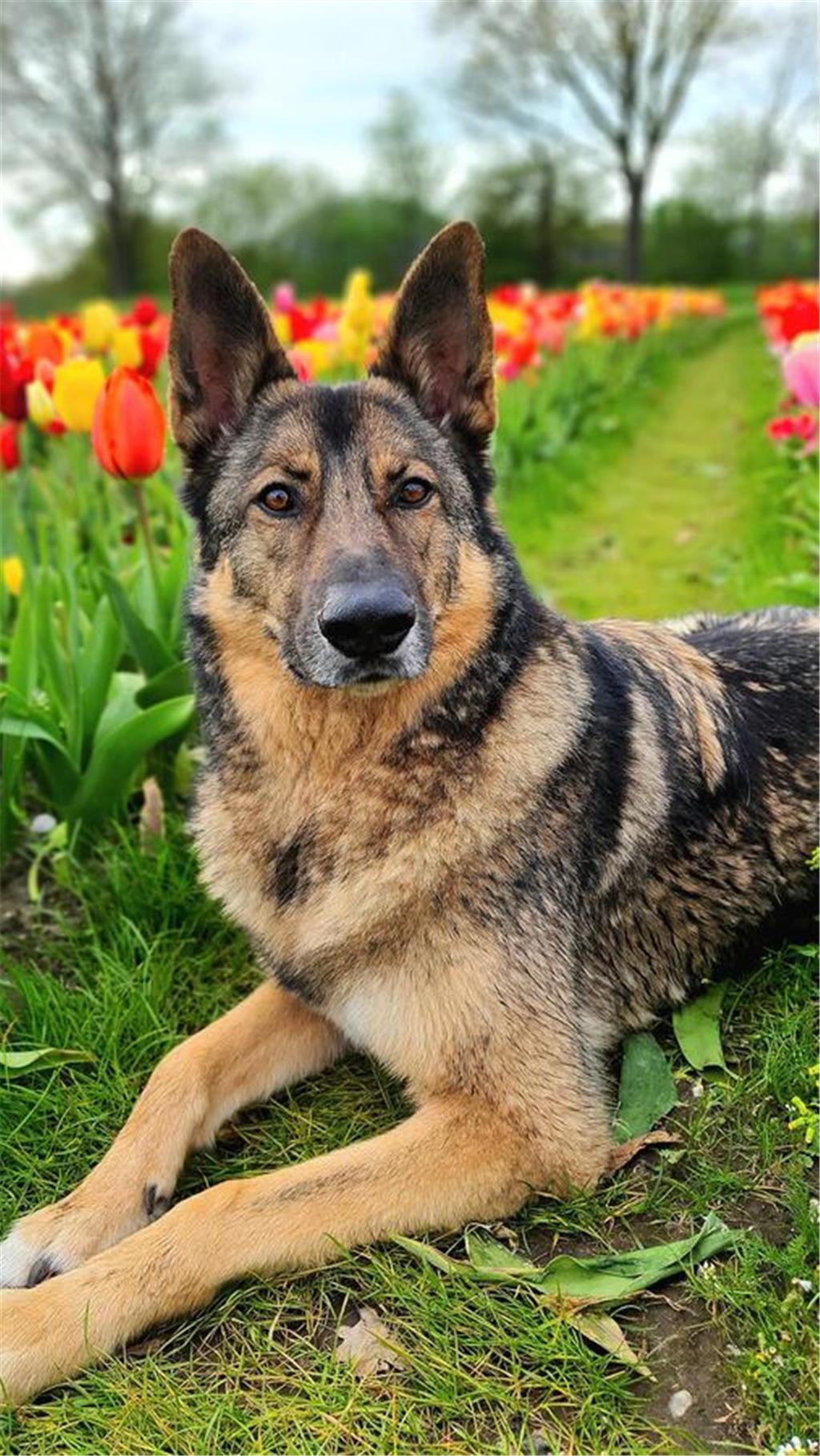 Eileen: "Archie ist ein totaler Quatschkopf, aber wir lieben ihn." 