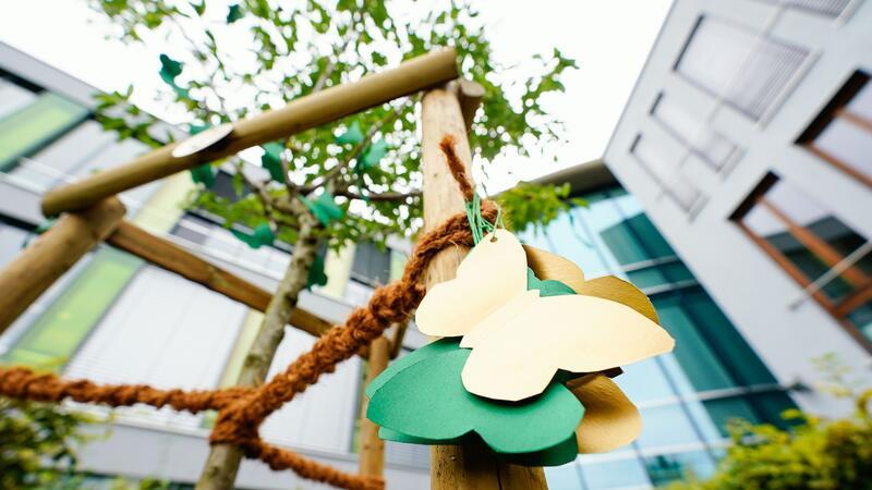 Schüler soll Ex-Freundin erstochen haben Ein 18-Jähriger muss sich für die Ermordung seiner Ex-Freundin vor Gericht verantworten.