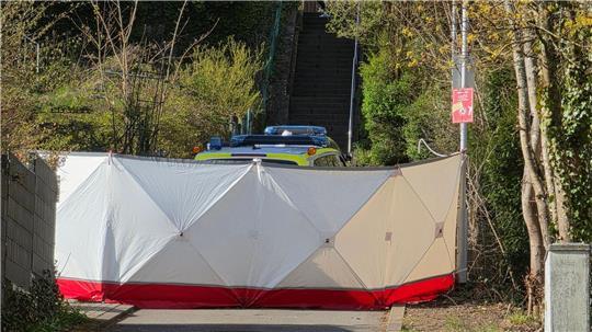 Ein 22-Jähriger ist in der Nacht bei dem Einsatz gestorben.