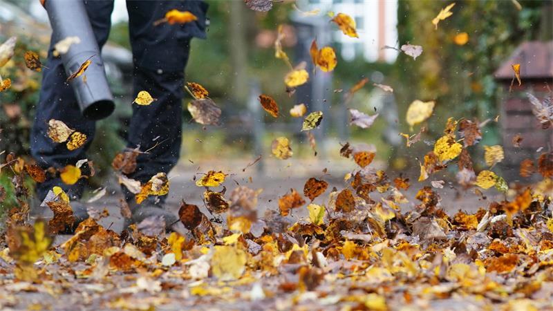 Mit Nachbar oder Stadt: Streit ums Herbstlaub – Wer harken muss Ein Akku-Laubbläser unterliegt denselben Zeiten wie ein Gerät mit Benzinmotor.