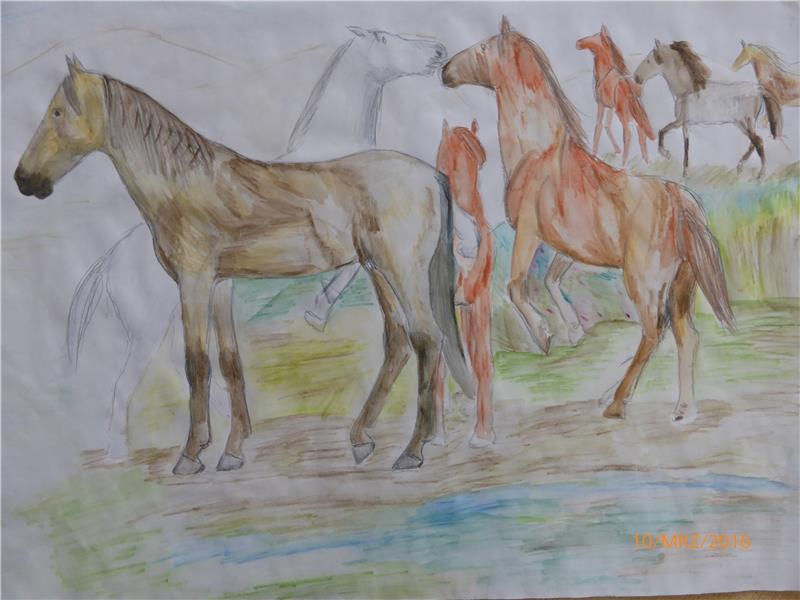 Ein Ausstellungsbeitrag von Tina Karsch.