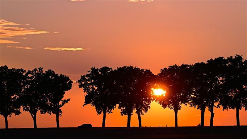 Ein Auto fährt bei Sonnenuntergang über eine Allee im östlichen Brandenburg.