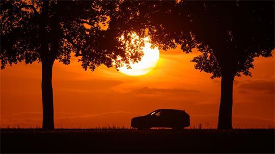 Ein Auto fährt im farbenprächtigen Sonnenuntergang über eine Allee bei Sieversdorf, im östlichen Brandenburg. 