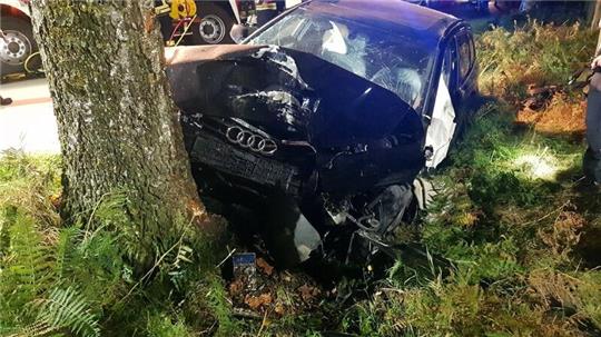 Ein Autofahrer ist in der Nacht auf Mittwoch in Fredenbeck-Wedel gegen einen Baum gekracht.