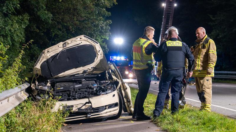 B73 in Stade: Taxifahrer und Pferde verunglücken tödlich Ein Autofahrer und zwei Pferde sind bei einem Unglück in Stade-Riensförde gestorben.