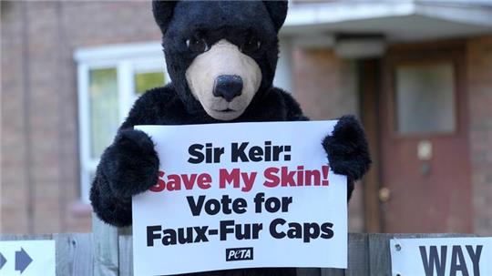 Ein Bär begrüßt Labour-Chef Starmer am Wahllokal.