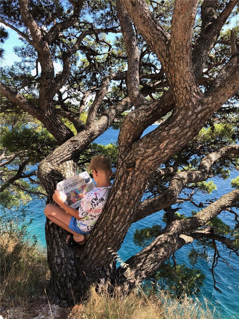 Ein Baum an der Küste Kroatiens, genauer Rogoznica, ist der Lieblingsplatz von Joost Röber aus Hagenah. Um die kleine Halbinsel führt ein Rad und Wanderweg, durch die wunderschöne Natur, mit tollem Ausblick auf das Meer. Der Platz ist besonders schön, weil einem eine frische Meeresbrise um die Nase weht und der Ausblick einfach traumhaft ist. Aufgenommen hat das Foto Joosts Mutter Martina.