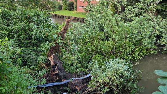 Ein Baum blockiert in Steinkirchen die Lühe.