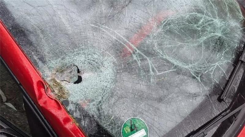 Sturmböen im Kreis Stade: Baum stürzt auf fahrendes Auto bei Harsefeld Ein Baum ist bei diesem Renault auf der Geest durch die Windschutzscheibe gekracht.