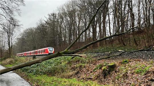 Ein Baum ist in Agathenburg ins Gleis gekippt.