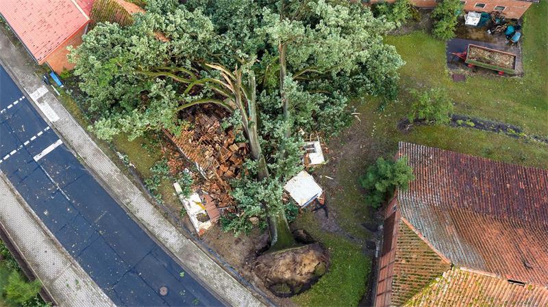 Ein Baum liegt nach einem Unwetter mit starken Stürmböen umgestürzt im Landkreis Lüneburg