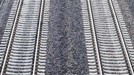 Ein Baum verhinderte die Weiterfahrt für die 155 Fahrgäste der S-Bahn. (Symbolbild)