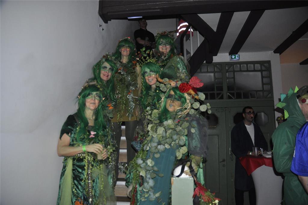 Ein Blick auf die diesjährigen Maskerade-Kostüme.