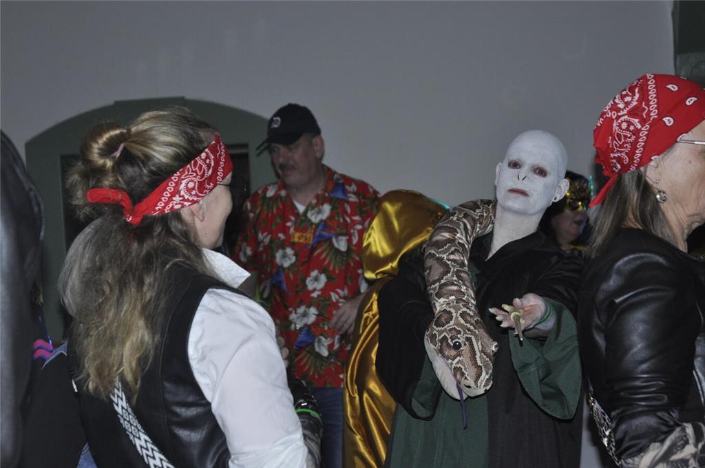 Ein Blick auf die diesjährigen Maskerade-Kostüme.