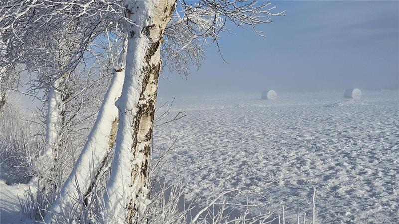Ein Blick auf die verschneiten Felder von Hammah.