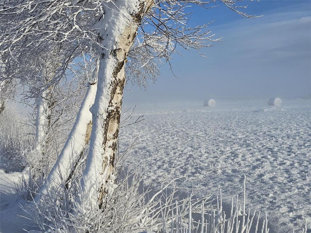Ein Blick auf die verschneiten Felder von Hammah.