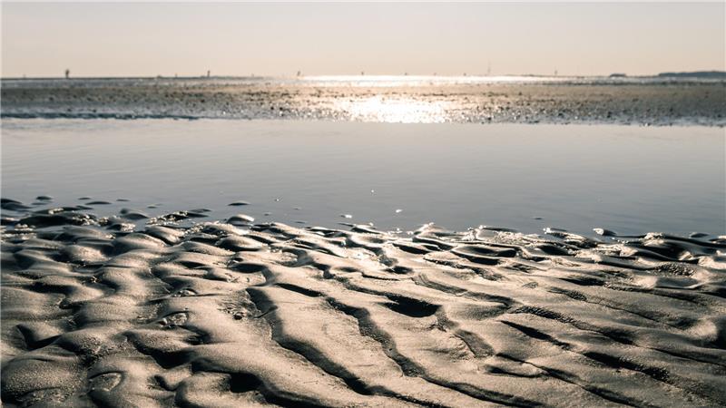 Ein Blick auf einen Priel im Wattenmeer zwischen Cuxhaven und der Insel Neuwerk.
