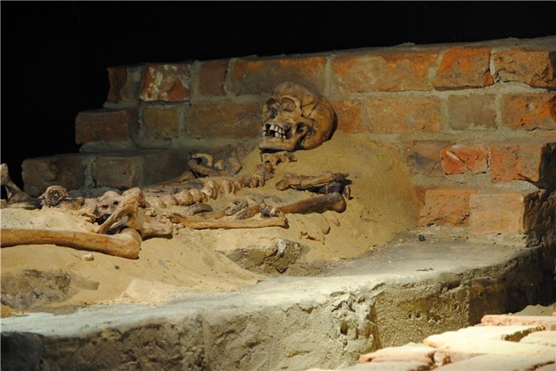 Ein Blick in die Gruft unter dem Zeughaus in Stade, wo die Gebeine des Erzbischofs von Bremen, Gottfried von Arnsberg, liegen . Foto: Stief