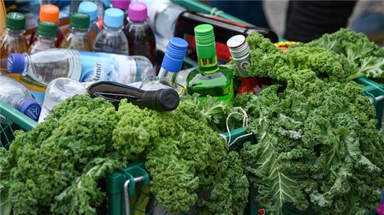 Ein Bollerwagen ist bei einer Kohlfahrt mit Grünkohlblättern und alkoholischen Getränken gefüllt (Symbolbild).
