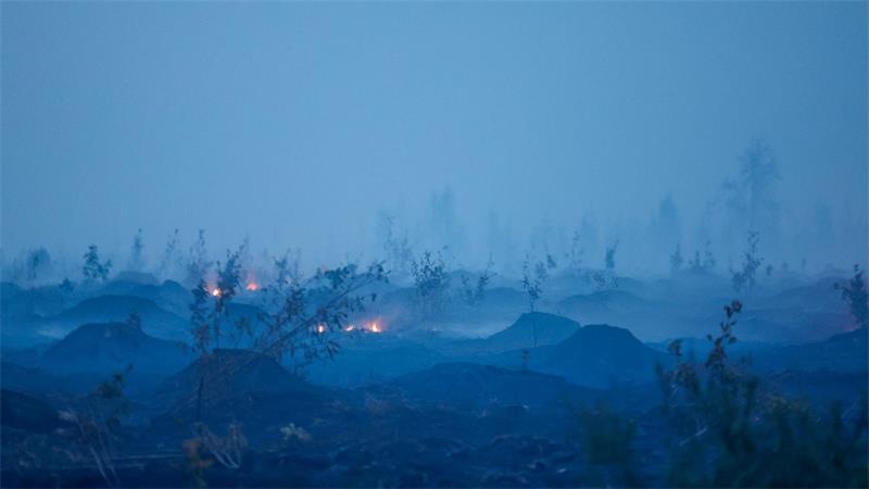 Warum Brände im ausgetrockneten Moor schwer bekämpfbar sind Ein Brand im Hochmoor kann sich unterirdisch fortsetzen.