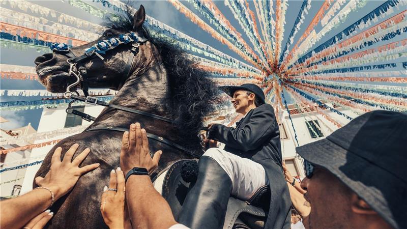 Bilder des Tages Ein „Caixer“ zäumt sein Pferd inmitten einer jubelnden Menge während des traditionellen „Jaleo“ bei dem Sant Bartomeu Fest in Spanien.