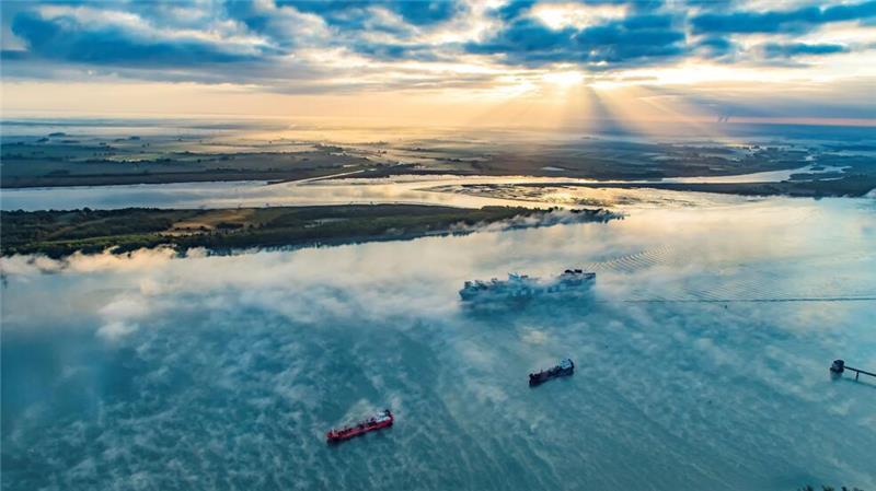 Ende der „elenden Kreislaufbaggerei“ – Reaktionen zur Elbvertiefungsstudie Ein Containerschiff fährt auf der Elbe bei Stade durch den Nebel. Eine Studie im Auftrag der Umweltverbände beleuchtet jetzt die Zahlen zur Elbvertiefung. Die Verbände fordern Konsequenzen.