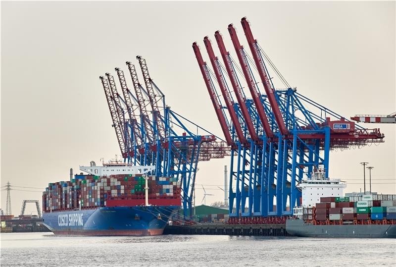 Hafenentwicklungsplan 2040: Online-Dialog startet im Oktober Ein Containerschiff liegt am Containerterminal Tollerort. Der neue Hafenentwicklungsplan soll 2022 verabschiedet werden. Foto: Wendt/dpa