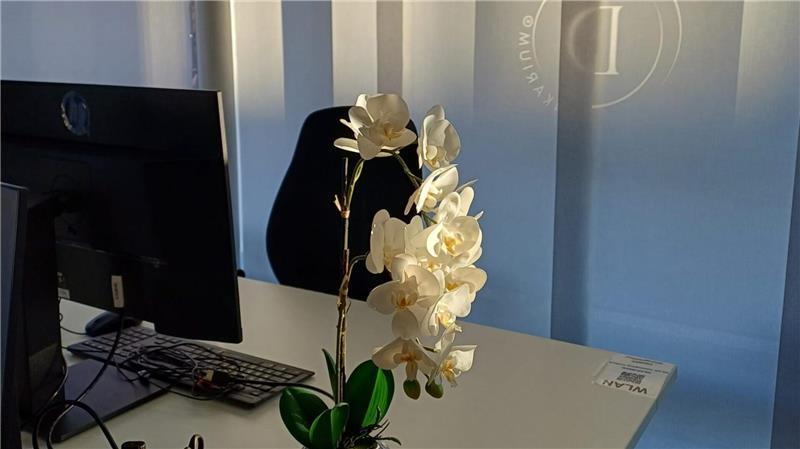 Ein Cowork-Space in Oederquart.