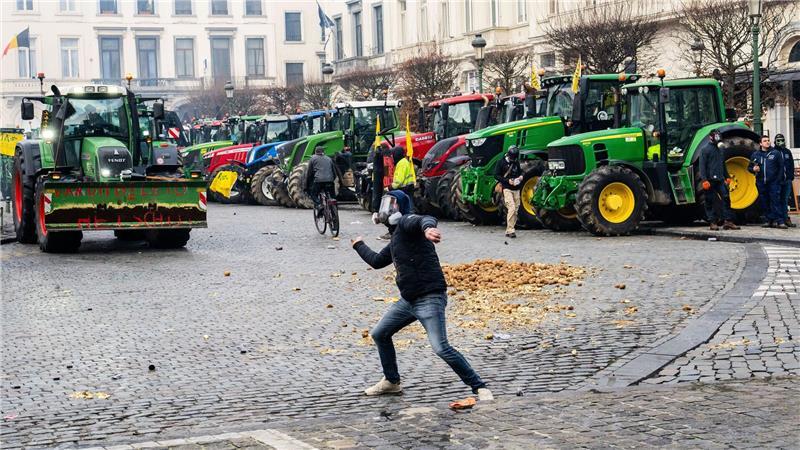 Ein Demonstrant wirft eine Kartoffel Richtung Europaparlament. 