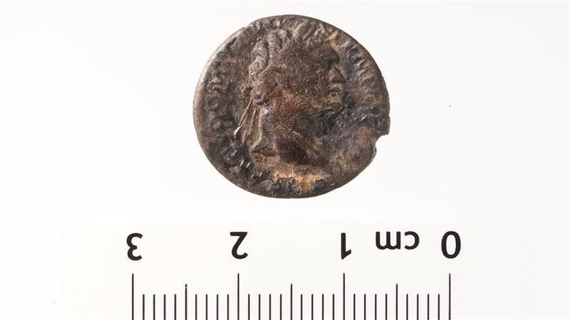 Archäologen sind der mächtigen Sachsen-Fürstin von Assel auf der Spur Ein Denar mit dem Gesicht von Kaiser Domitian, römischer Kaiser von 81 bis 96 nach Christus, aus Assel-Ritsch.