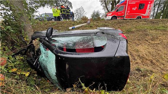 Autofahrer fliegt auf Nincoper Deich aus der Kurve Ein Fahrzeug stürzte am Samstagmittag in Neuenfelde einen Graben hinab.