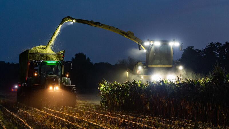 Ein Feldhäcksler erntet Maispflanzen für eine Biogasanlage und befördert diese zerkleinert auf einen daneben fahrenden Traktor mit Anhänger.