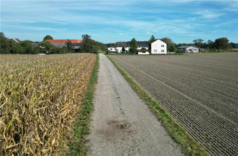 Joggerin in Österreich von Hund totgebissen – Tier eingeschläfert Ein Feldweg in Naarn.
