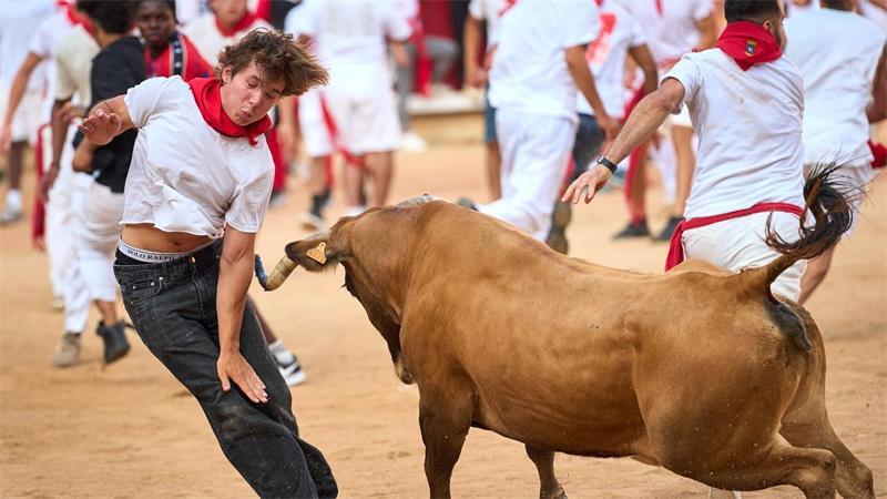 Ein Festbesucher weicht in der Stierkampfarena einem Kalb aus, nachdem beim San-Fermin-Fest der achte Stierlauf stattgefunden hat.