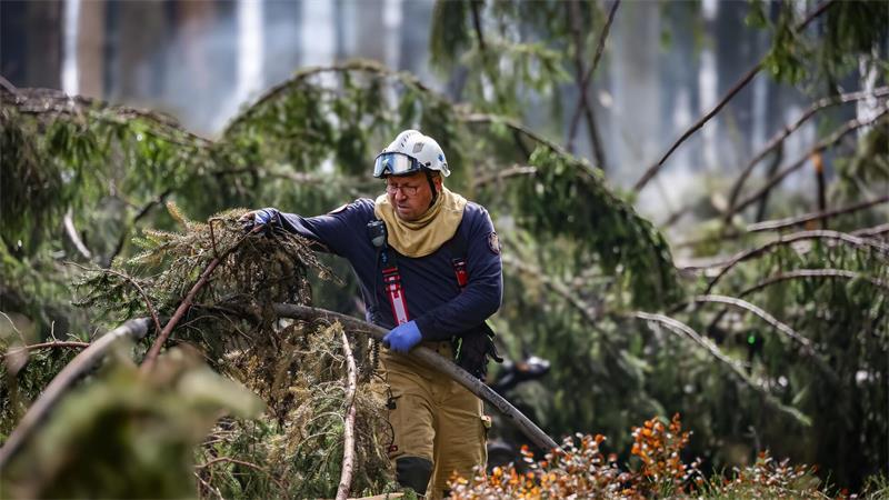 Ein Feuerwehrmann befeuchtet den Boden an den Brandstellen im Naturschutzgebiet „Hautes Fagnes“ (Hohen Venn).