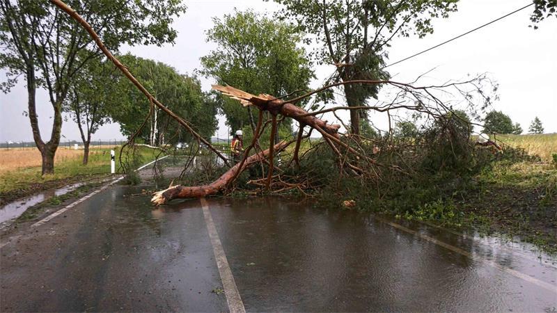 „So ein Chaos“: Schwerer Hagel richtet massive Schäden an Ein Feuerwehrmann befreit bei Ludwigslust-Parchim eine Straße nach einem Gewitter von einem herabgefallenen Ast.