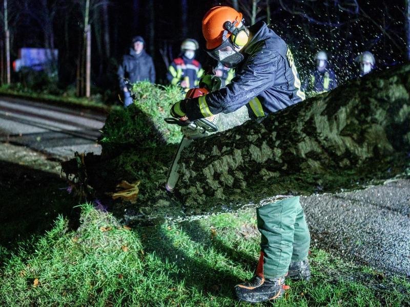 Ein Feuerwehrmann durchtrennt mit einer Motorsäge einen umstürzten Baum. Foto: Axel Heimken/dpa