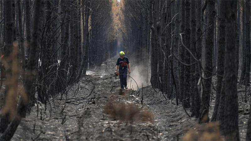 Ein Feuerwehrmann geht während der Waldbrände im Südwesten Frankreichs durch einen verkohlten Wald in der Nähe von Blagon.