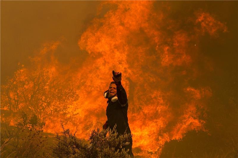 EU-Dienst: Waldbrände auf Nordhalbkugel rekordverdächtig Ein Feuerwehrmann kämpft im griechischen Dorf Hasia nahe Athen gegen ein Flammenmeer.