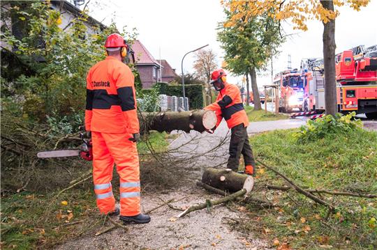 Ein Feuerwehrmann zersägt im Stadtteil Curslack einen Baum, der über den Gehweg liegt. Mit Tief "Ignatz" zieht der erste starke Herbststurm des Jahres über Deutschland. Foto: Daniel Bockwoldt/dpa